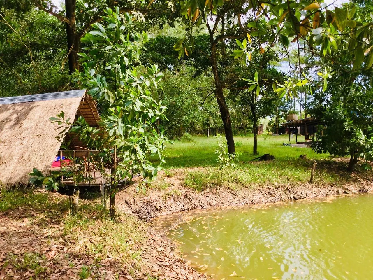 Pulp Fiction Hostel & Bungalowsシアヌークビル